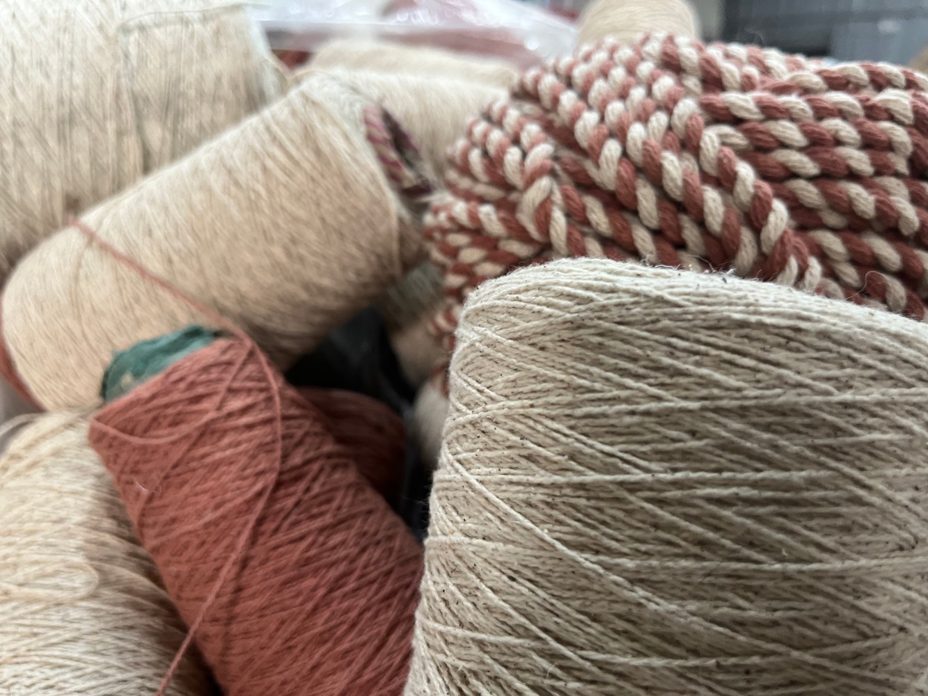 Cotton Mushroom - Forest - Image 5