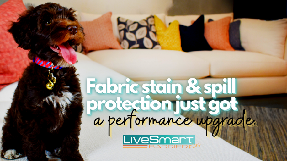 Winston - Armchair - Image 6